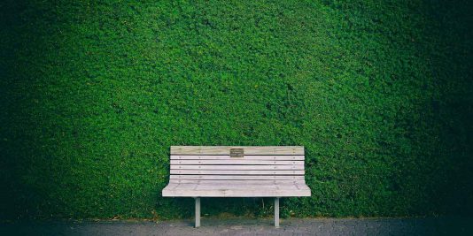 gartensichtschutz
