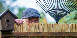 zustimmung-des-nachbarn