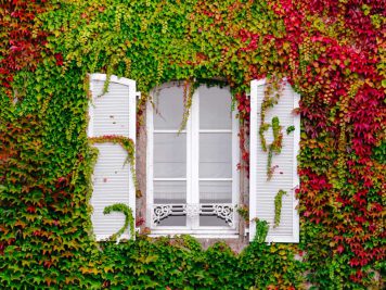 podcast-fenster-hausbau