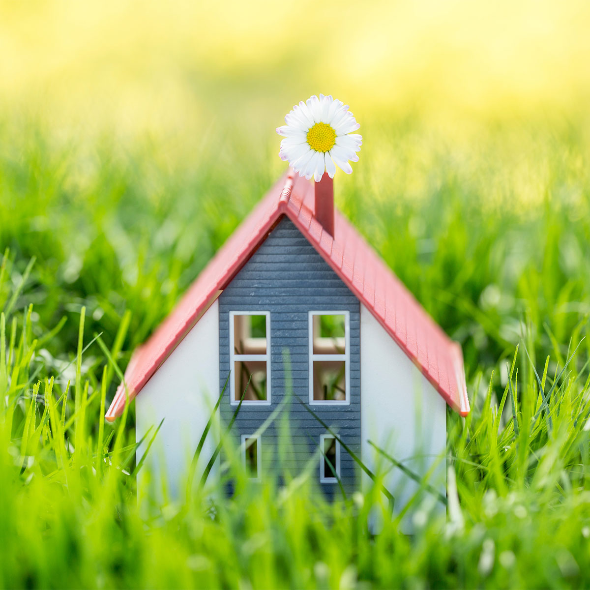 Versiegelte Flächen beim Hausbau – das solltet ihr wissen